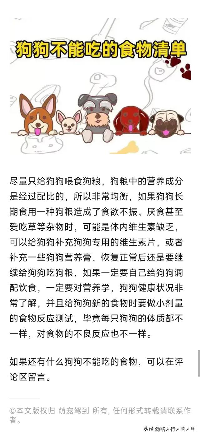 狗狗饲养指南：