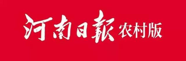 梁园区双八镇路楼村：“小金蝉”成就“大产业”