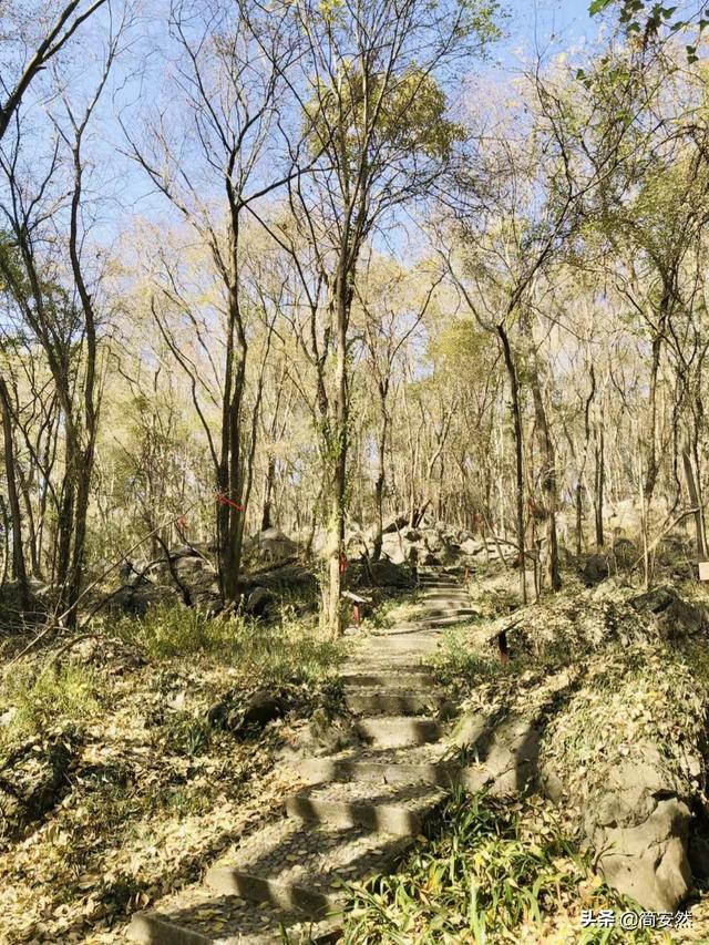 荆门太子山，少年嘉靖皇帝狩猎之地，今华中地区唯一合法狩猎场