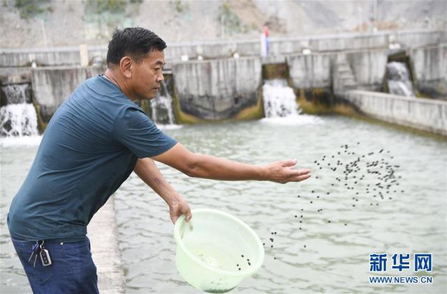 蒋开均：冷水鱼养出重庆山区“热经济”