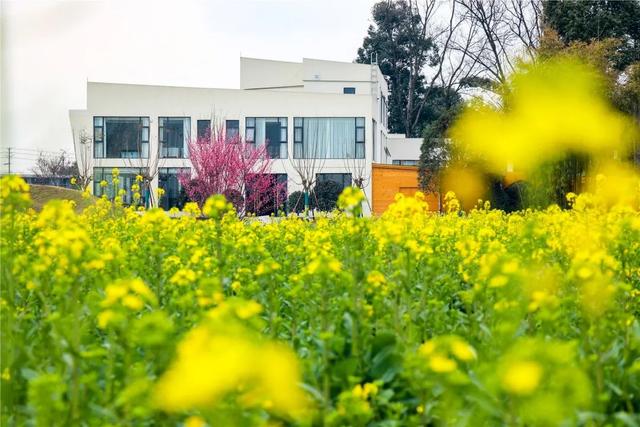 预计今年5月试营业！317田园艺术公社加速建设中