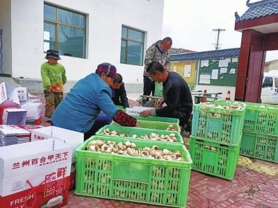 发展种植养殖 改善村容村貌