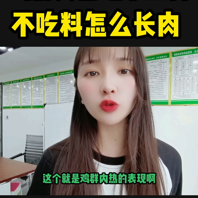 你遇到过鸡吃不上料的问题吗？#抖音养鸡人