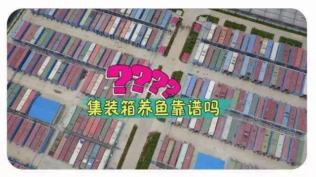 小小靓科技｜“集装箱养鱼”靠谱吗？