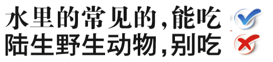 陆生野生动物全面禁食！养殖的青蛙、蛇今后还能吃吗？