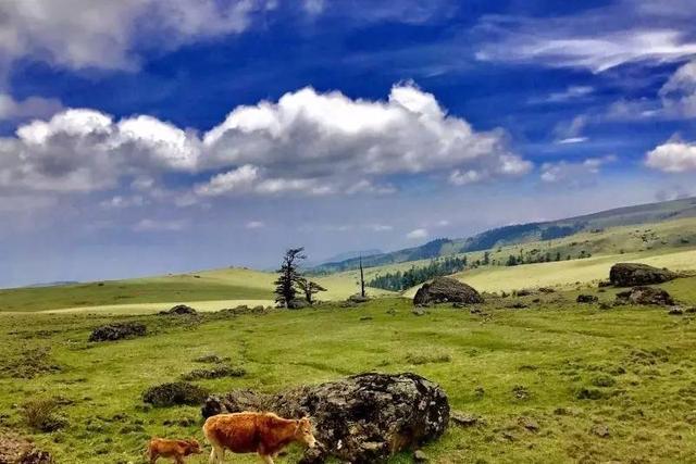 大凉山深处有美景—美姑，珍藏许久美女、美景、美石一样不少！