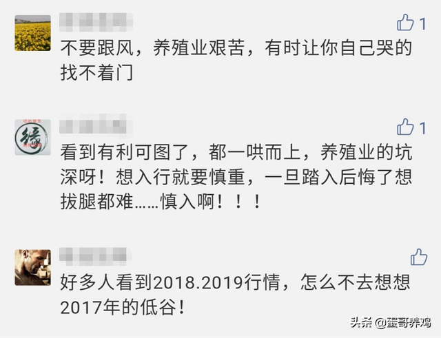 养1万蛋鸡还能赚钱吗？蛋友：养殖业的坑深呀！办场要慎重啊