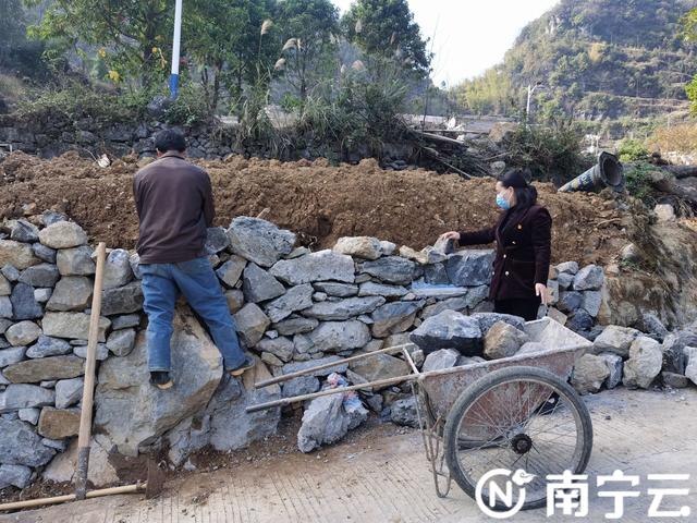 新春走基层｜马山县古棠村的“新年愿望”