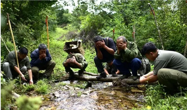 同样是人参，为什么野生能卖出300万天价，人工种植只能论斤卖？