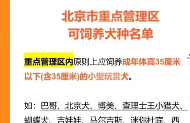 2023北京禁养犬名单！包括金毛，拉布拉多！哪些能养？