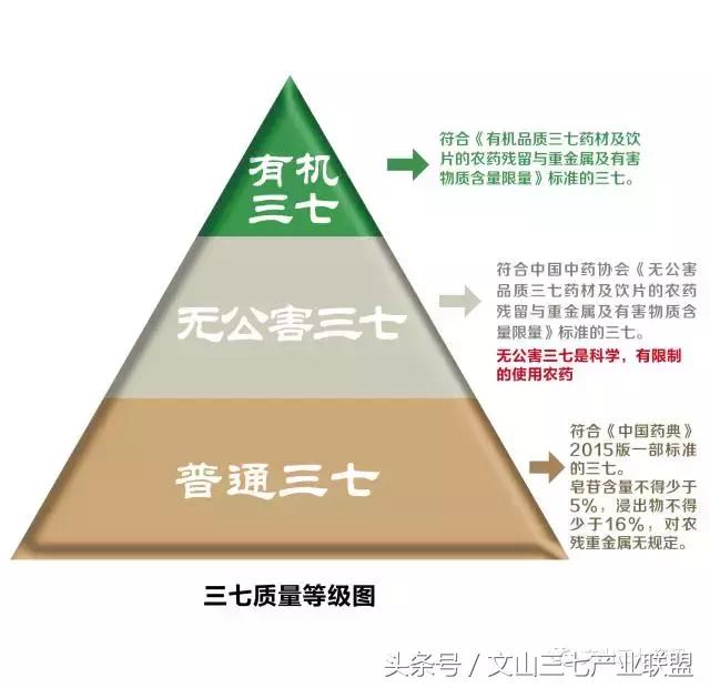 一句话认识文山三七