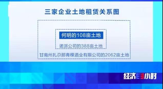 一块地租给三家企业，当地政府却装糊涂！千万投资打了水漂……