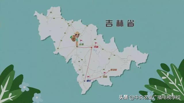 【农广天地】小小煎饼摊开致富路