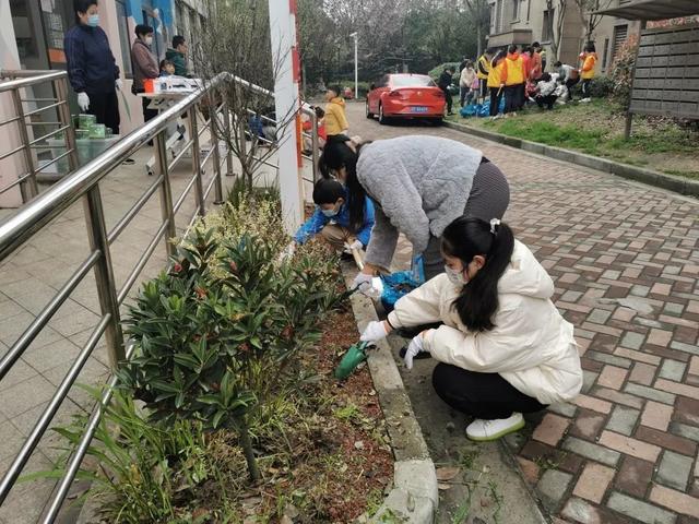 小花园让社区“靓”起来！宝山这里开展亲子种植活动