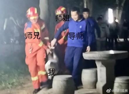 小心！华中科技大学野猪出没