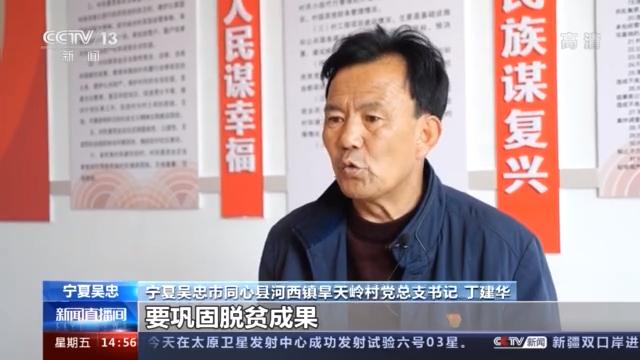 从脱贫到振兴 宁夏旱天岭村村支书丁建华抓住“牛鼻子”做强移民村