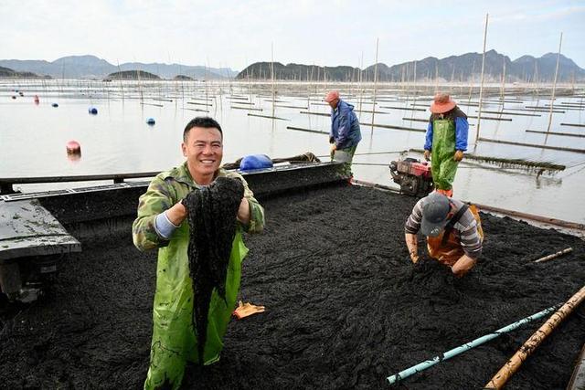 鱼丰景美海常蓝，福建“耕海牧渔”新气象