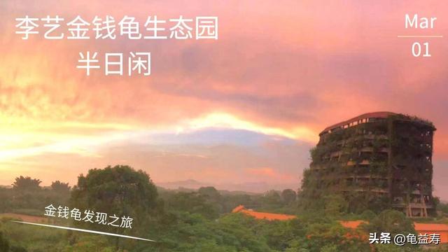 3月1日，李艺金钱龟生态园开园！