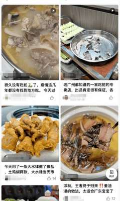 广东特种养殖(广州某餐厅销售可能含有毒蛇 官方辟谣蛇类不宜食用)