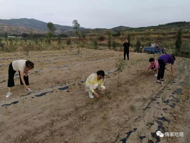 圪塔村农民不养猪了，干了两件事，意外发财了