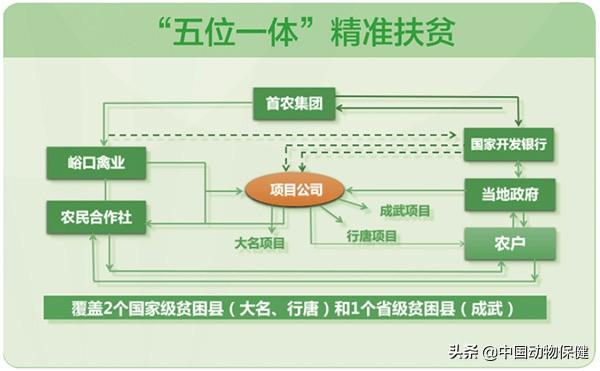 峪口禽业，筑沃德中国芯，同心同行