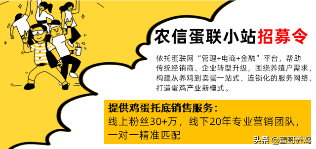 养1万蛋鸡还能赚钱吗？蛋友：养殖业的坑深呀！办场要慎重啊