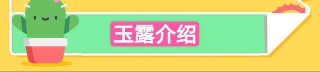 多肉玉露冬季不会养？教你闷养玉露，30天可以让玉露晶莹剔透