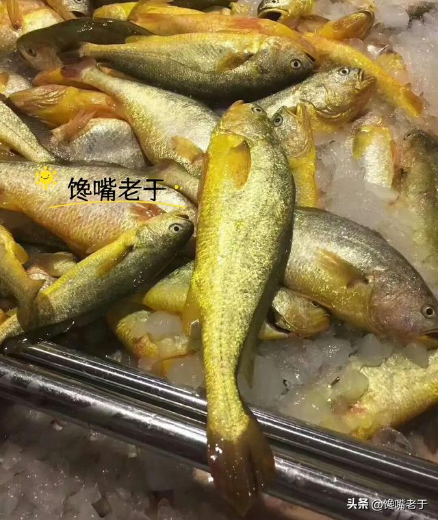 冬天买鱼，这5种鱼都是野生海鱼，不能人工养殖，遇到后不要错过