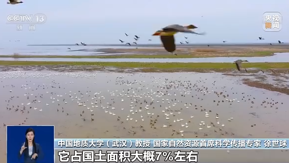 一问到底丨湿地何以成为“大地之肾”？我们应如何保护湿地？