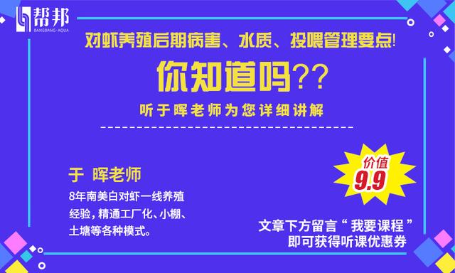 冬季养殖南美白对虾，除了保暖、吃食，这点也非常关键