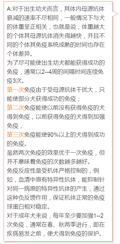 成都人！16日起开始收容禁养犬，一文看懂养狗攻略