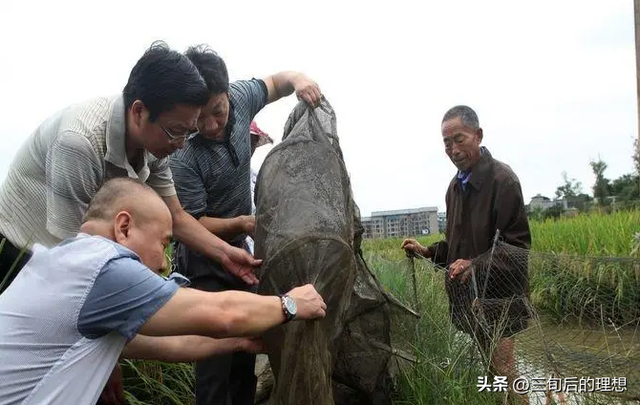 高效养殖，科技创新对畜牧业发展，带来的积极影响和帮助