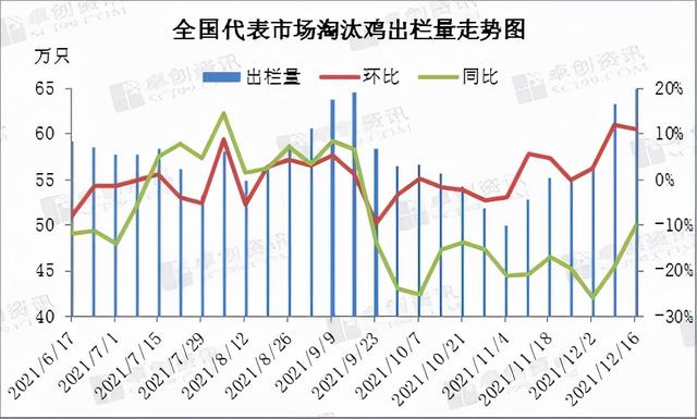 春节前淘汰鸡价格或上涨乏力