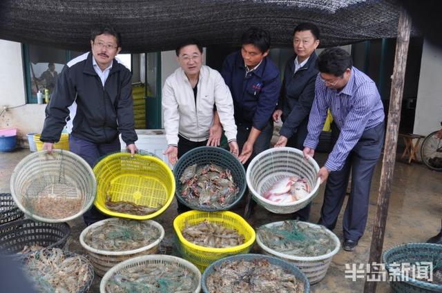 开海寻鲜记②｜海水养殖，青岛秘笈“惊动”农业农村部