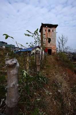 致富侦查兵黑山羊养殖(湘西巨匪张平三十年打造的小台湾，侦察兵化装铁匠三天攻破)