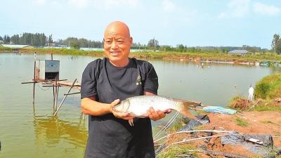 “河南海鲜”丰收了