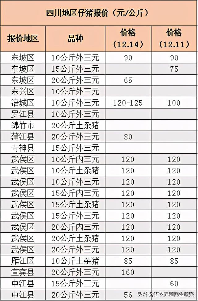 「报价」2020年12月14日西南地区生猪、仔猪、鸡蛋价格