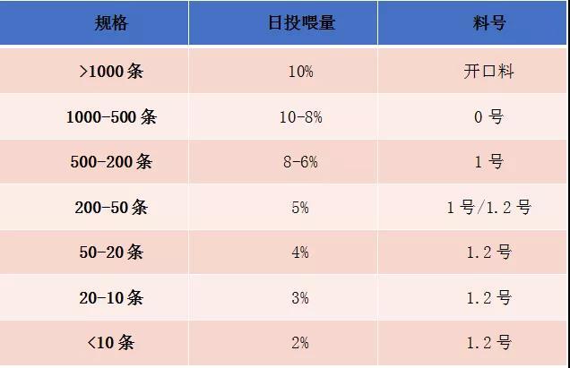 泥鳅高密度养殖模式注意这些关键点，亩利润超19000元