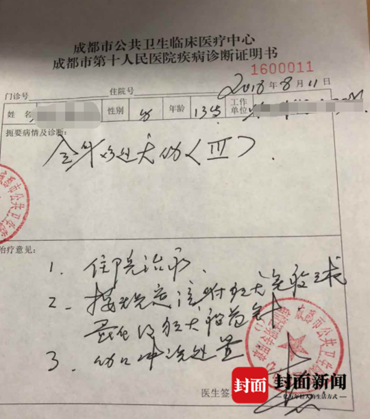 四川一小区 德牧未牵绳咬伤少年：后续赔偿陷入僵局