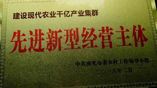 南充市胜百金蛋鸡养殖农民专业合作社扶贫典范