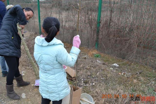 能否成功只能是应验那句“谋事在人，成事在天”（渔场回忆20）