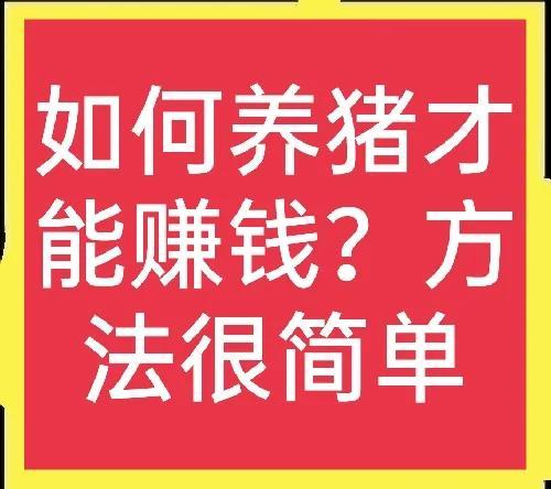 五个养猪好方法，让你养猪赚大钱