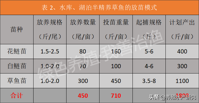 各个模式下花白鲢放多少最合适？老渔农干货分享