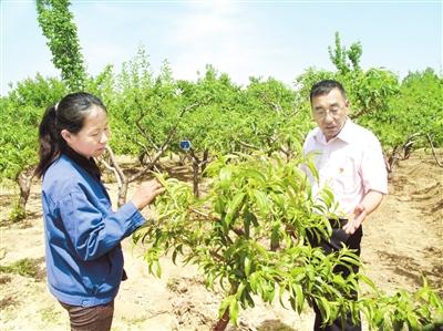 同心拔穷根 铺就幸福路——乌海市海南区决战决胜脱贫攻坚综述