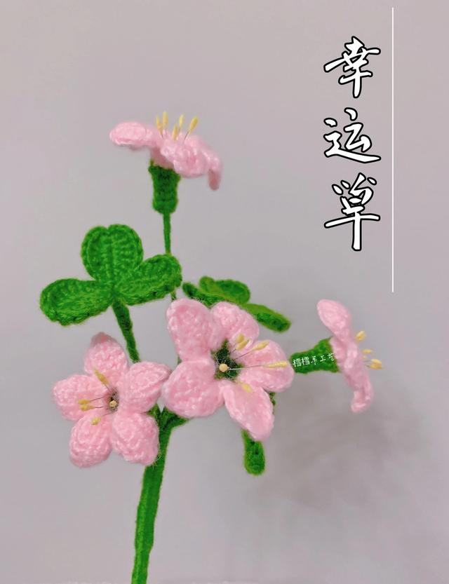 挑战100种花卉勾法第16种-幸运草（附教程）