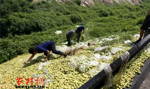 哄抢中国--我们到底怎么了？