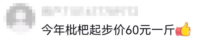 树上找不到几个果子！临平网友爆料：塘栖枇杷今年产量或将腰斩，价格......