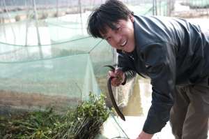 赣州黄鳝养殖基地(以新金融之笔绘就乡村振兴最美画卷 ——建行江西省分行助推乡村振兴战略落地见效)