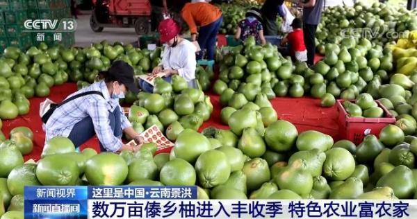 全国各地陆续进入收获季 田间一幅喜人的秋收图景