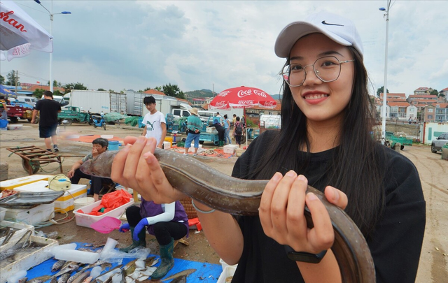 夏季吃鱼，这5种鱼都是野生海鱼，不能人工养殖，遇到后可别放过